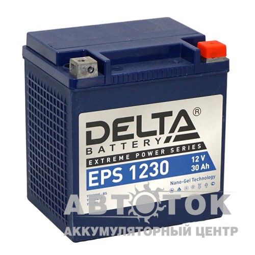 Мотоаккумулятор Delta EPS 1230 24 Ач, 350А 166x130x175 YTX30HL-BS, YTX30L-B, YTX30L О.П.