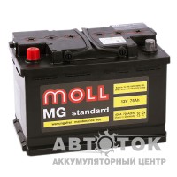 Moll MG Standard 75L 720A